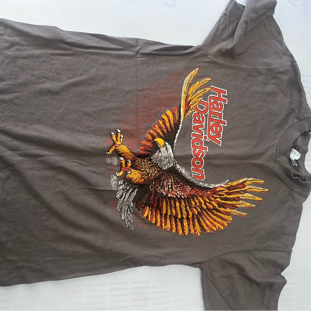 Harley-Davidson Men's Brown Graphic T-Shirt